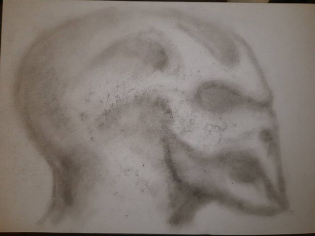 20250826_102401.jpg