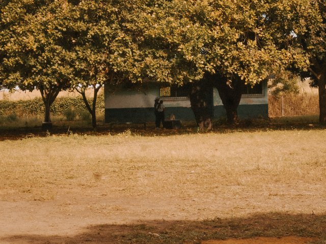 P1320710.jpg