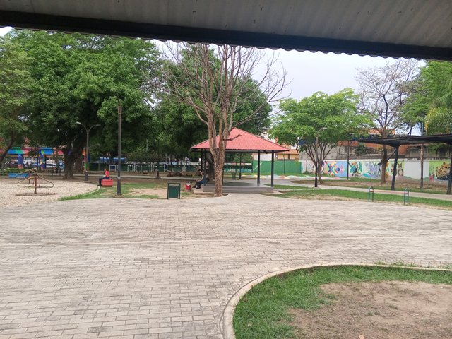 IMG_20250503_131333_383.jpg