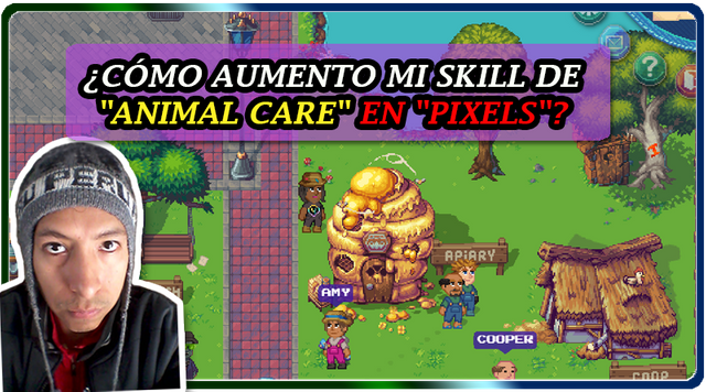 mini_es.png