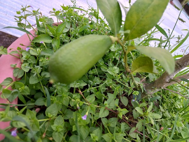 20230903_175751.jpg