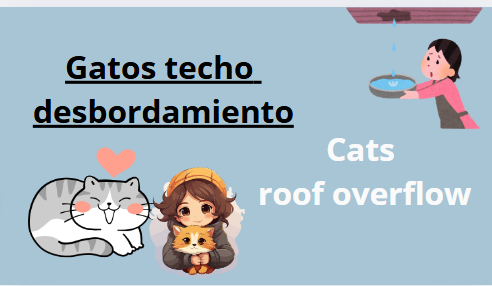 56.PNG
