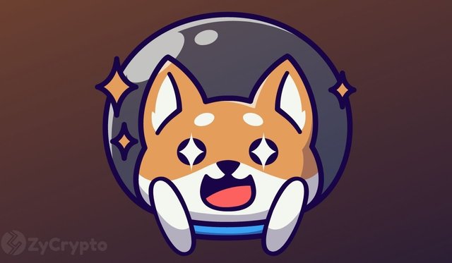 Ripple-CTO-And-XRP-Architect-David-Schwartz-Mocks-Shiba-Inu-For-Its-Gargantuan-Supply.jpg