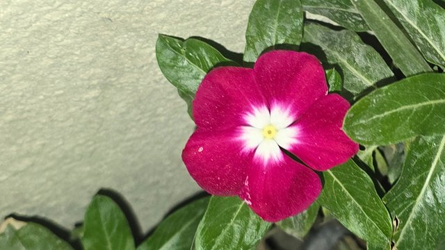 20250322_043933.jpg