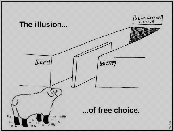 voting illusion free choice.JPG