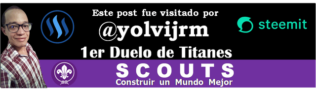 Banner de Curaduria.png