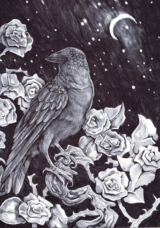 raven_roses_by_dawndelver-dck5j8e.jpg