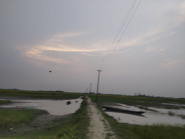 IMG_20240511_181054.jpg