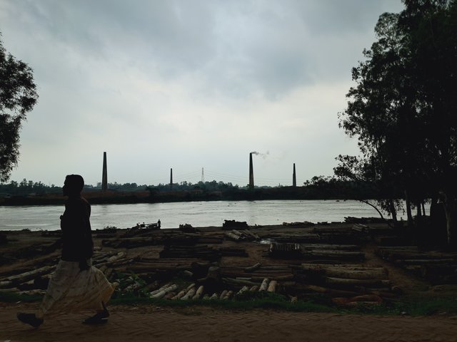 1000031081.jpg