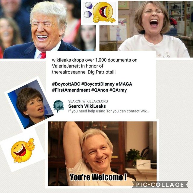 Roseanne Wikileaks Jarret 1K Drop TRUMP LOL LAUGH.jpeg