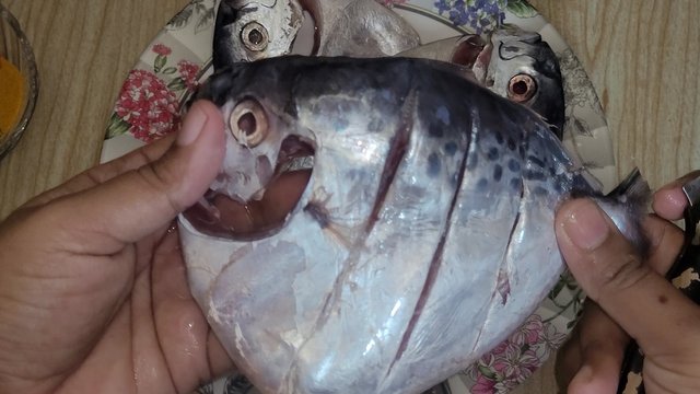 VideoCapture_20250420-083055.jpg