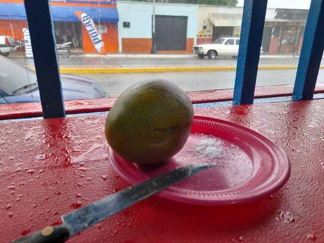 20250607_160537.jpg