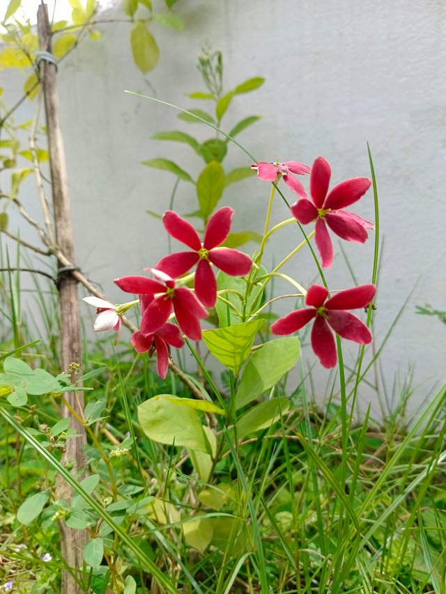 1000103150.jpg