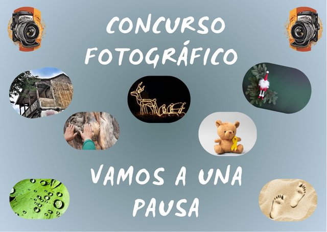 Concurso fotográfico (43).jpg