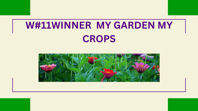 W#10Winner & running new W#11 contest My garden My crops.png