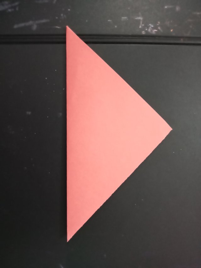 1000027513.jpg