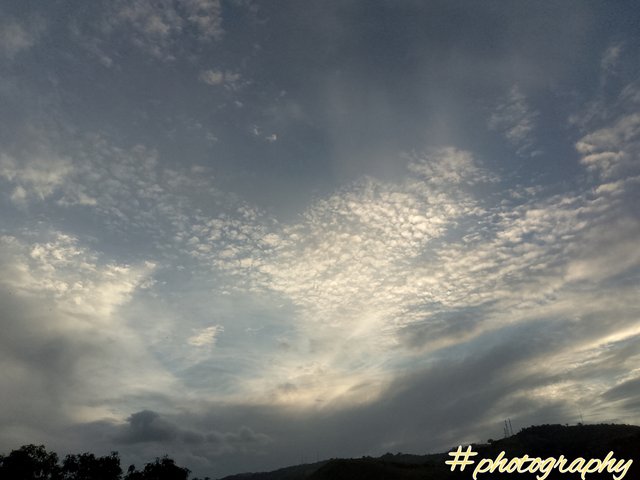 FotoGrid_20250903_123132835.jpg