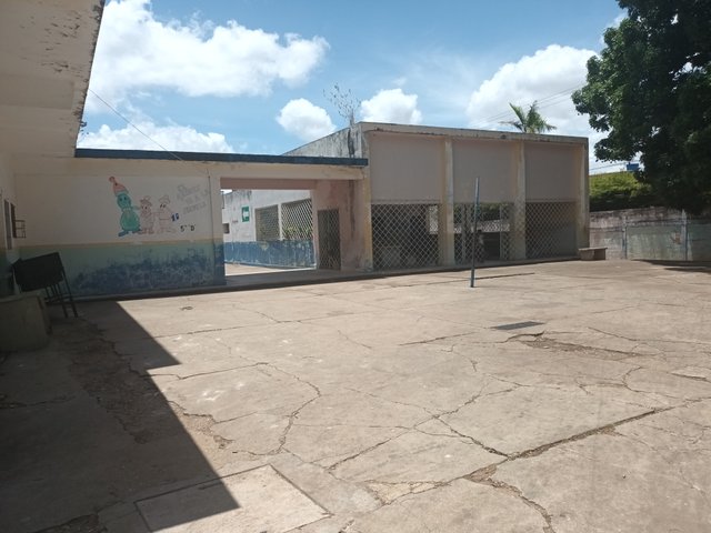 20250425_114242.jpg