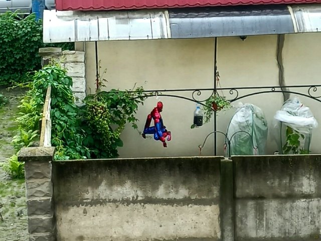 1000040645.jpg