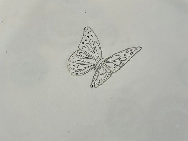 IMG_1820.jpeg