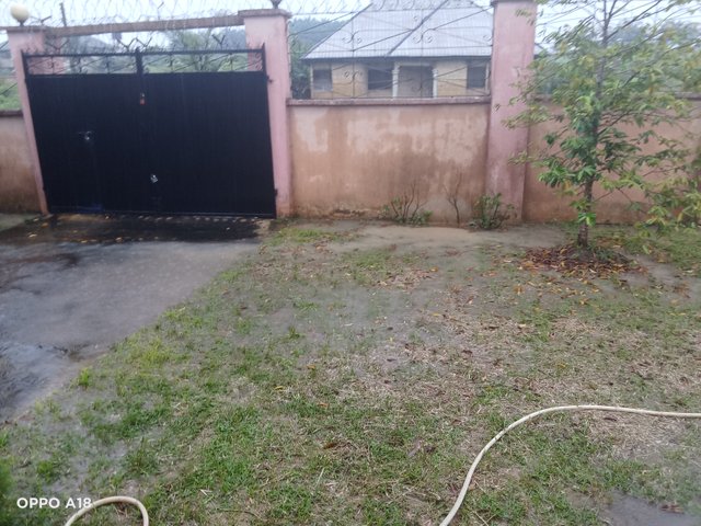 IMG20250719161631.jpg