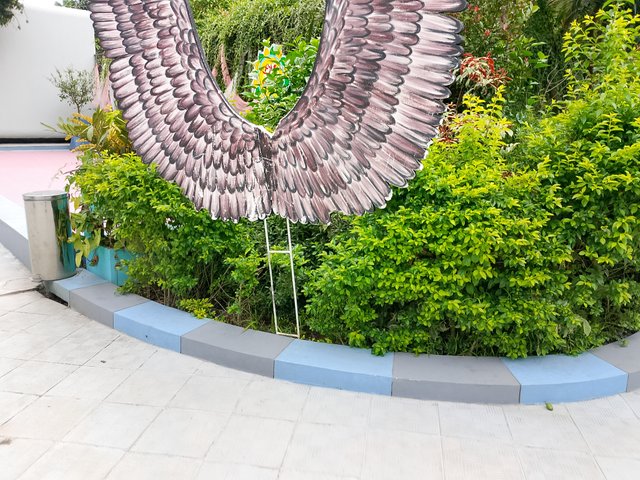 1000035615.jpg