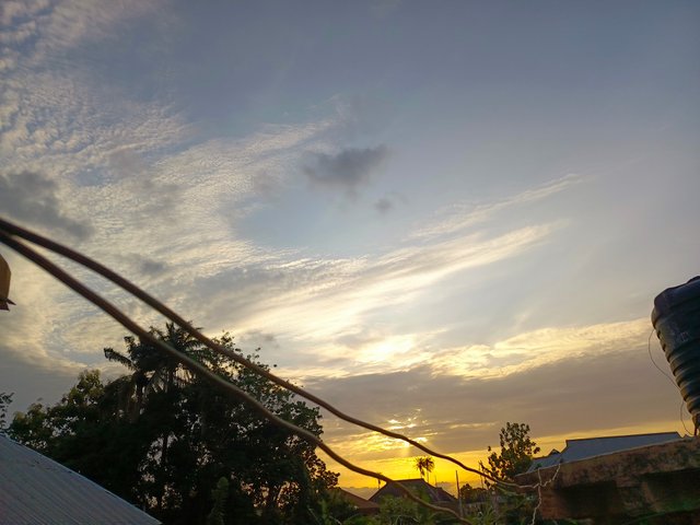 1000553505.jpg