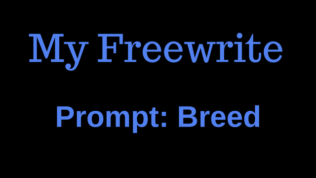 Freewrite (11).png