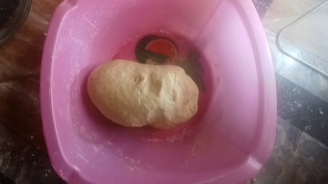IMG20250813162654.jpg