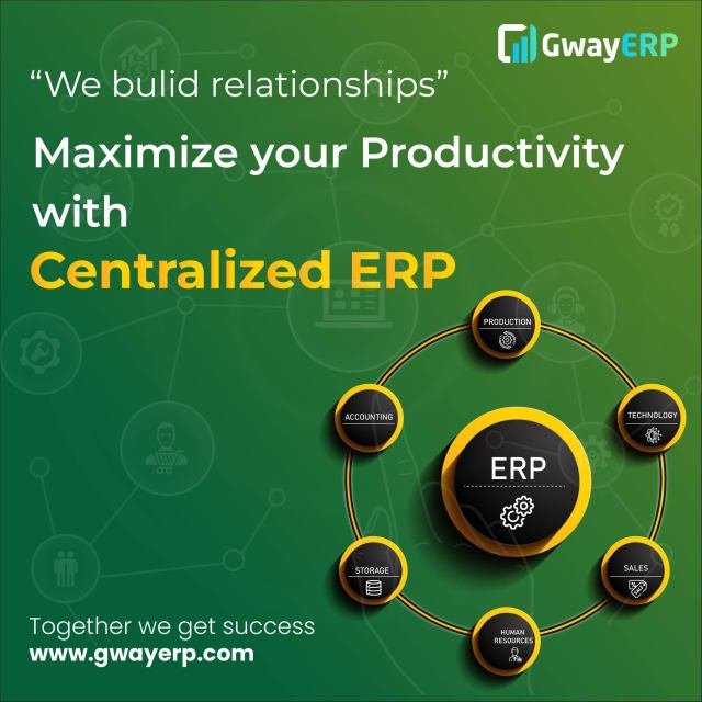 Centralized ERP.jpg