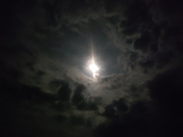 IMG_20250809_230706.jpg