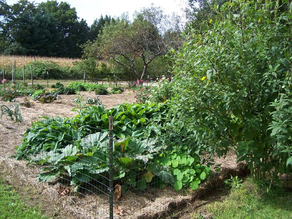 Big garden - finished looking southeast crop Sept. 2018.jpg