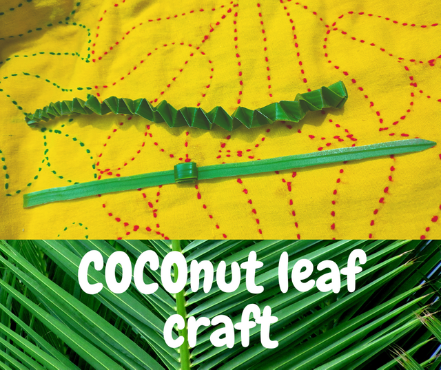 COCOnut leaf craft.png