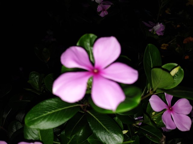 20220918_213739.jpg