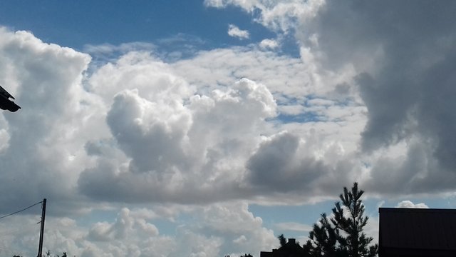 20180726_111201.jpg