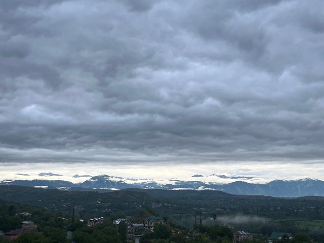 IMG_4214.jpeg
