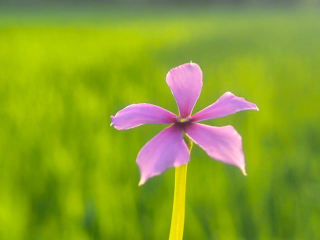 IMG_20250406_092318.jpg