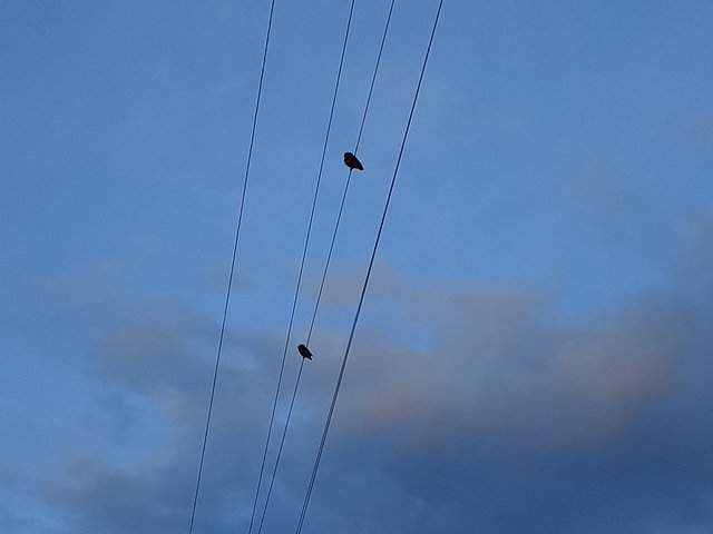 1000043459.jpg