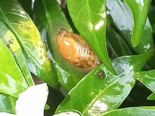 20250801_232355.jpg