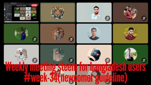 Weekly meeting steem for bangladesh users #week-30 (newcomer guideline)(2).png