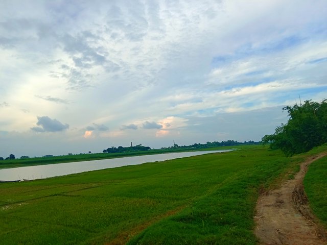 IMG_20250624_192415.jpg