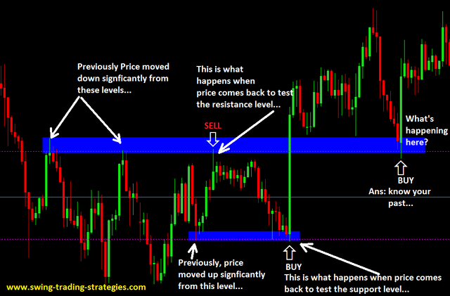 Trading-Price-Action-Reversals.png
