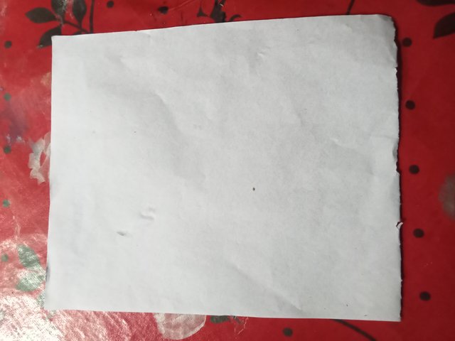IMG20250317155419.jpg