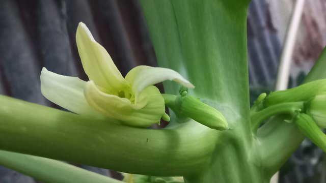 20250615_183437.jpg
