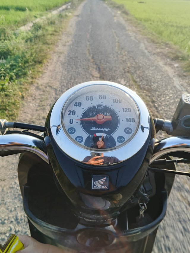 1000077791.jpg