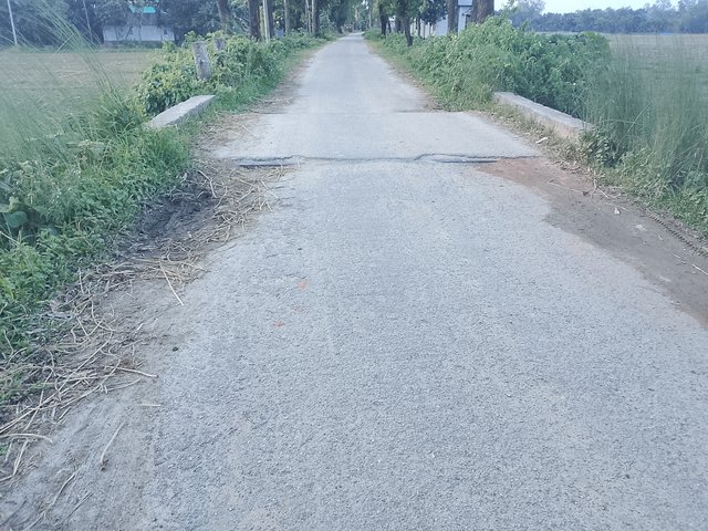 1000043281.jpg