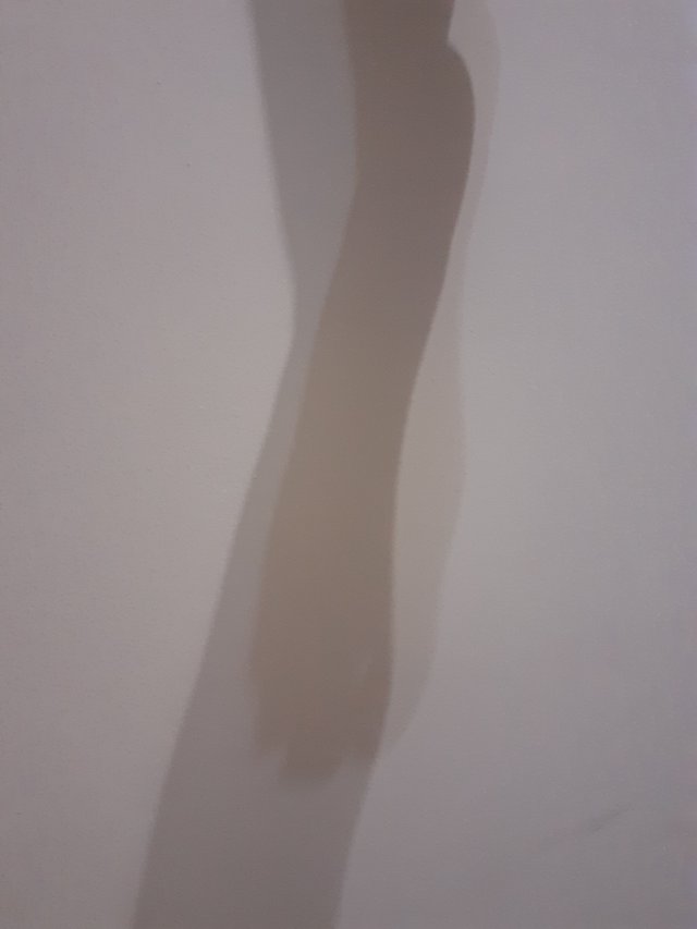 20250819_232713.jpg