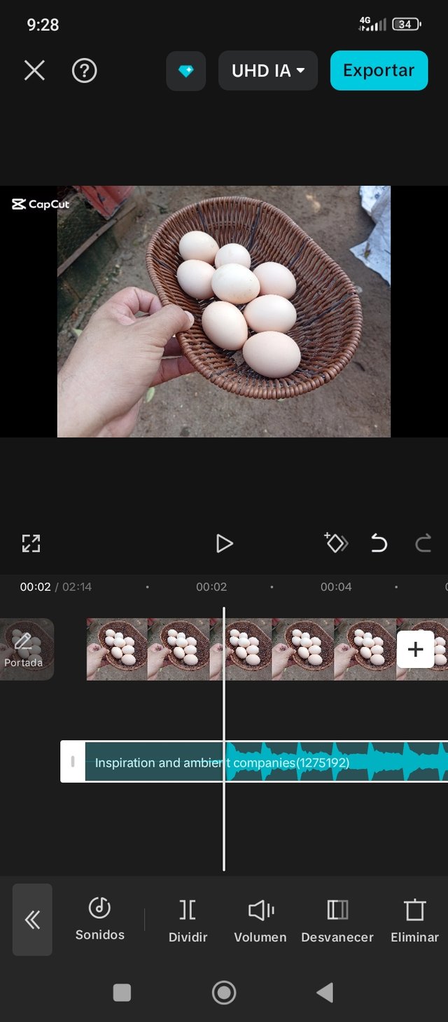 1000208167.jpg