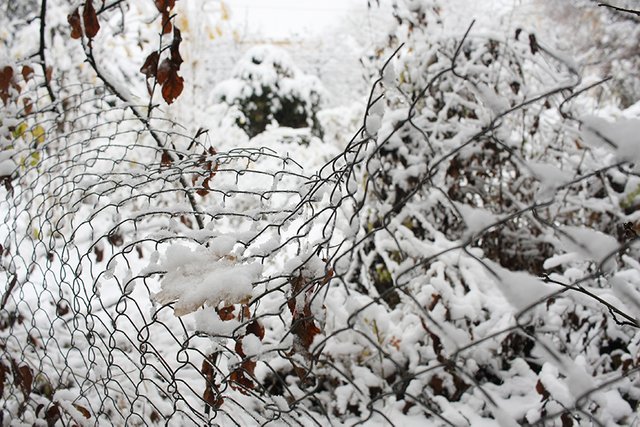 Winter_Vibes_n06_s.jpg