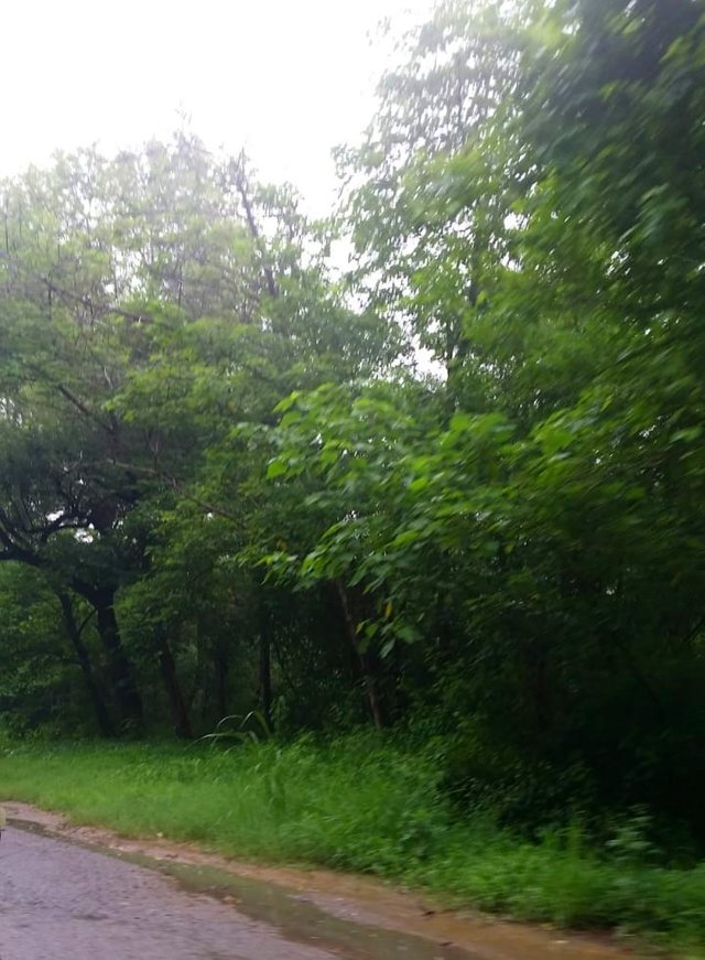 IMG-20220805-WA0078-01.jpeg